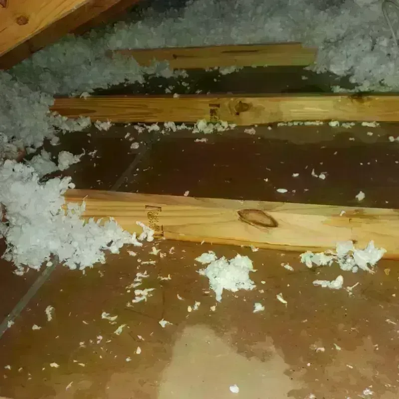 Attic Water Damage in Robbinsdale, MN