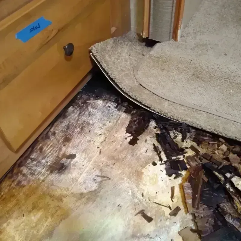 Best Wood Floor Water Damage Service in Robbinsdale, MN